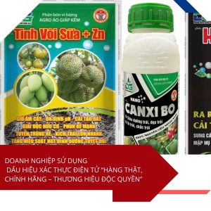 Doanh nghiệp sử dụng dấu hiệu xác thực điện tử