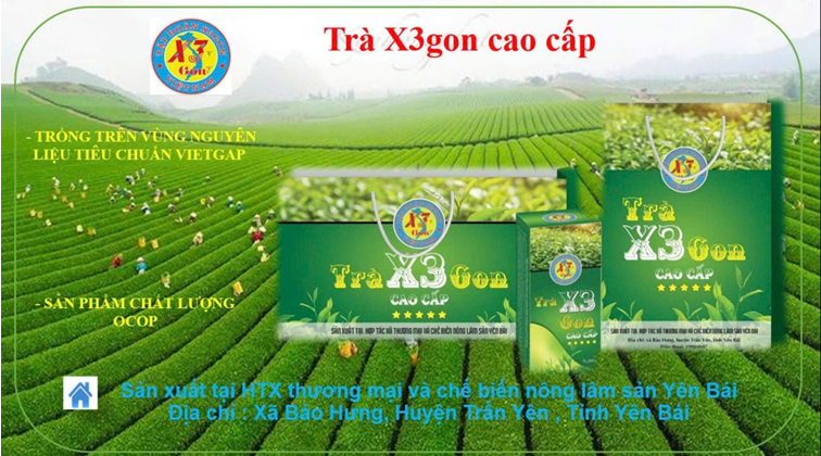Sản phẩm trà của tập đoàn X3 GON